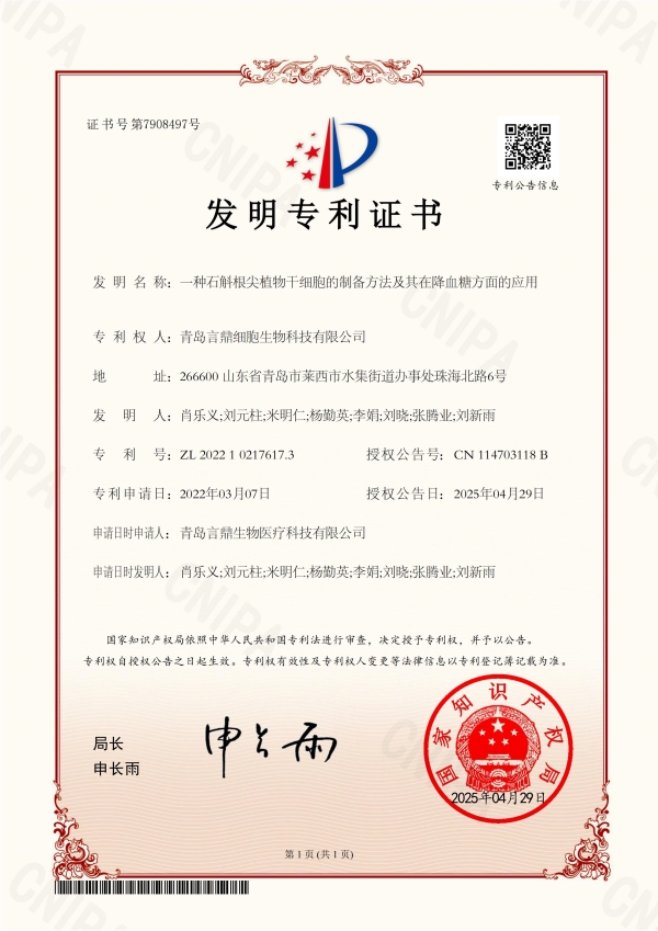 一种石斛根尖植物干细胞的造备步骤及其在降血糖方面的利用.jpg