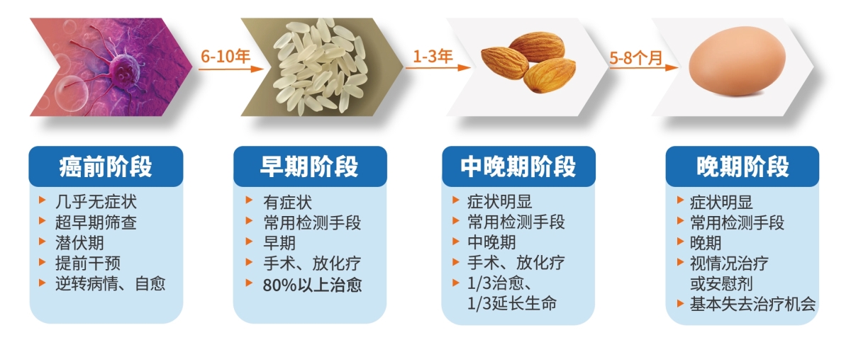 肿瘤发展.jpg
