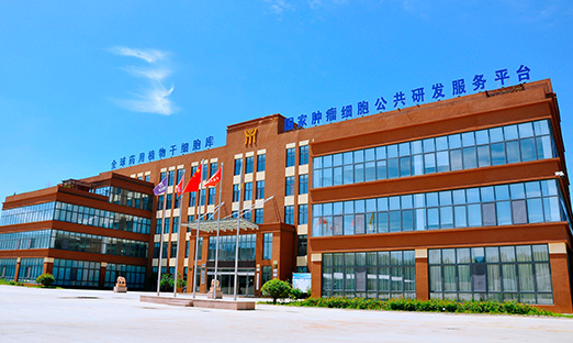 莱西市向“新”突破 加快发展新质出产力
