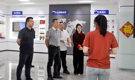 咸渭南东新区调查团到访新葡的京集团350vip8888集团，共探大健全产业合作